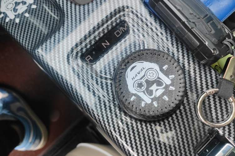 Used Haval DARGO 2024 2.0T DCT Chinese Rural Dog Edition Gear Lever