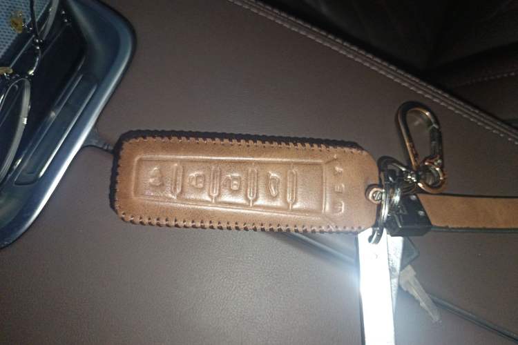 Used Wey Mocha 2021 2.0T Two-Wheel-Drive Premium Edition
