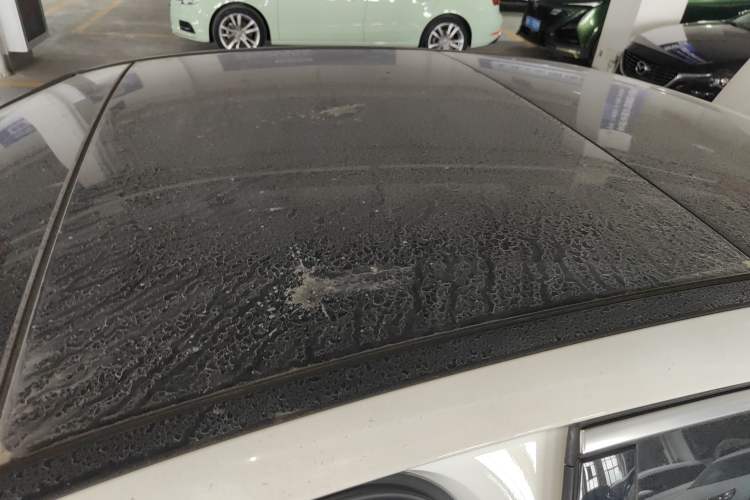 Used Mercedes-Benz C-Class 2025 C 260 L Sport Edition