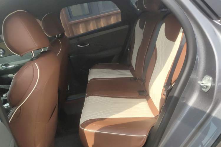 Used BYD Qin PLUS 2025 DM-i Smart Drive 55KM Leading Model Left Rear Seat