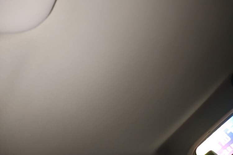 Used Dayun Yuehu 2021 32.85 kWh Two-Wheel-Drive Sprite Version Headliner