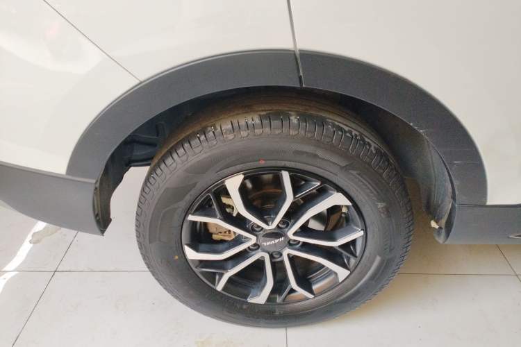 Used Haval H6 2023 National Trend Edition 1.5T Automatic Urban Version
