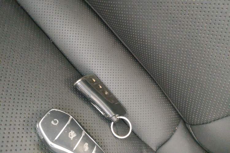 Used Lexus UX New Energy 2020 300e Pure·Joy Edition Vehicle Key