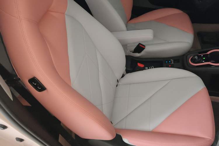 Used Chery Little Ant 2024 Youth Edition 251km True Love Edition 23.99 kWh