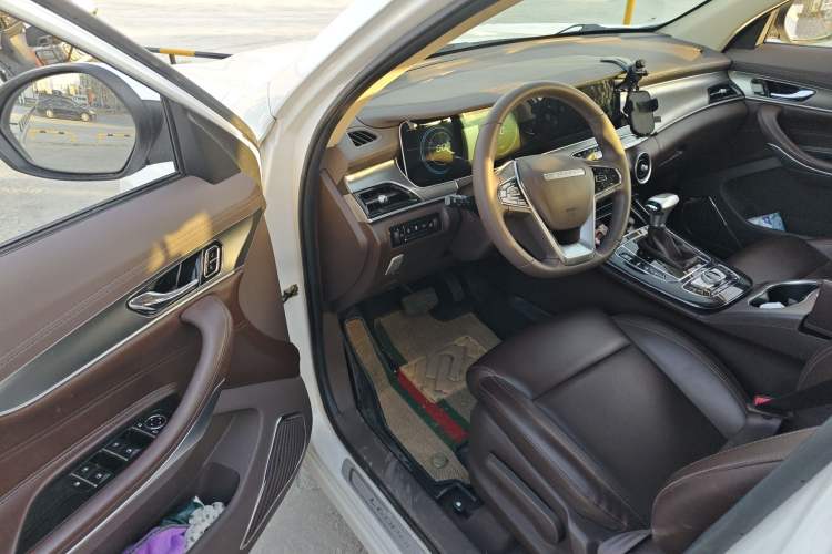 Used Leopaard Mattu 2018 1.6T GDI DCT Elite Model Driver Seat