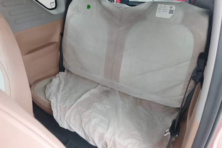 Used Geely Galaxy Panda 2023 Panda Mini 200km Endurance Bear Left Rear Seat