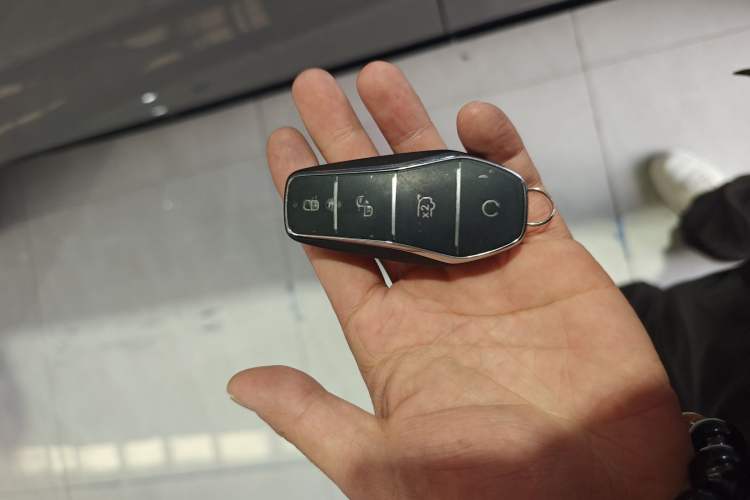 Used BYD Tang New Energy 2025 Intelligent Driving Version DM-i 115KM Flagship Edition
