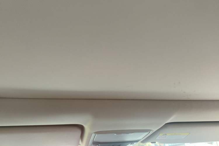 Used Honda Avancier 2017 240TURBO Two-Wheel Drive Luxury Edition Headliner