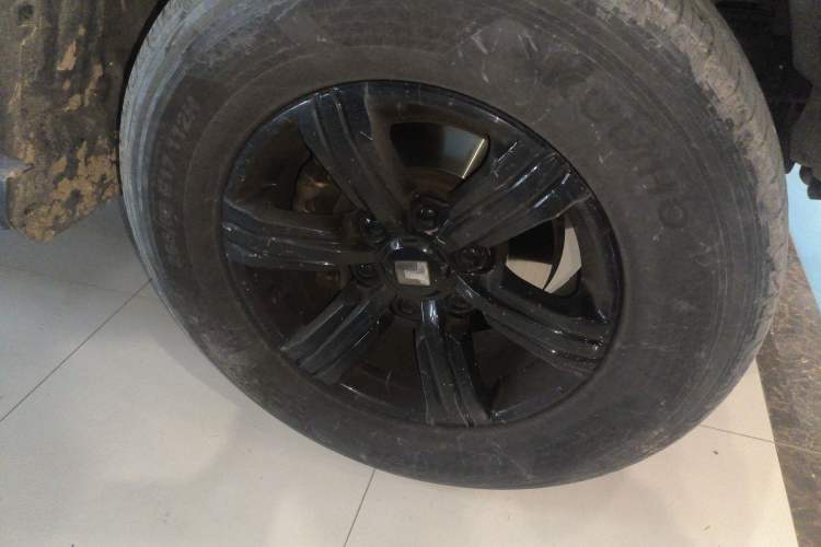 Used Tank 300 2024 2.0T Conqueror Exterior 4