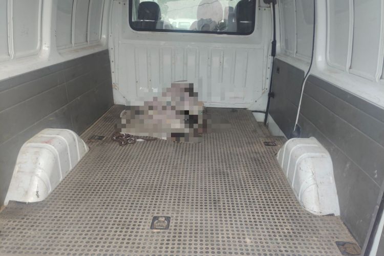 Used Ford Classic Transit 2015 2.8T Diesel Van Short Wheelbase 3-Seater Mid-Roof Long Body Model JX493ZLQ4