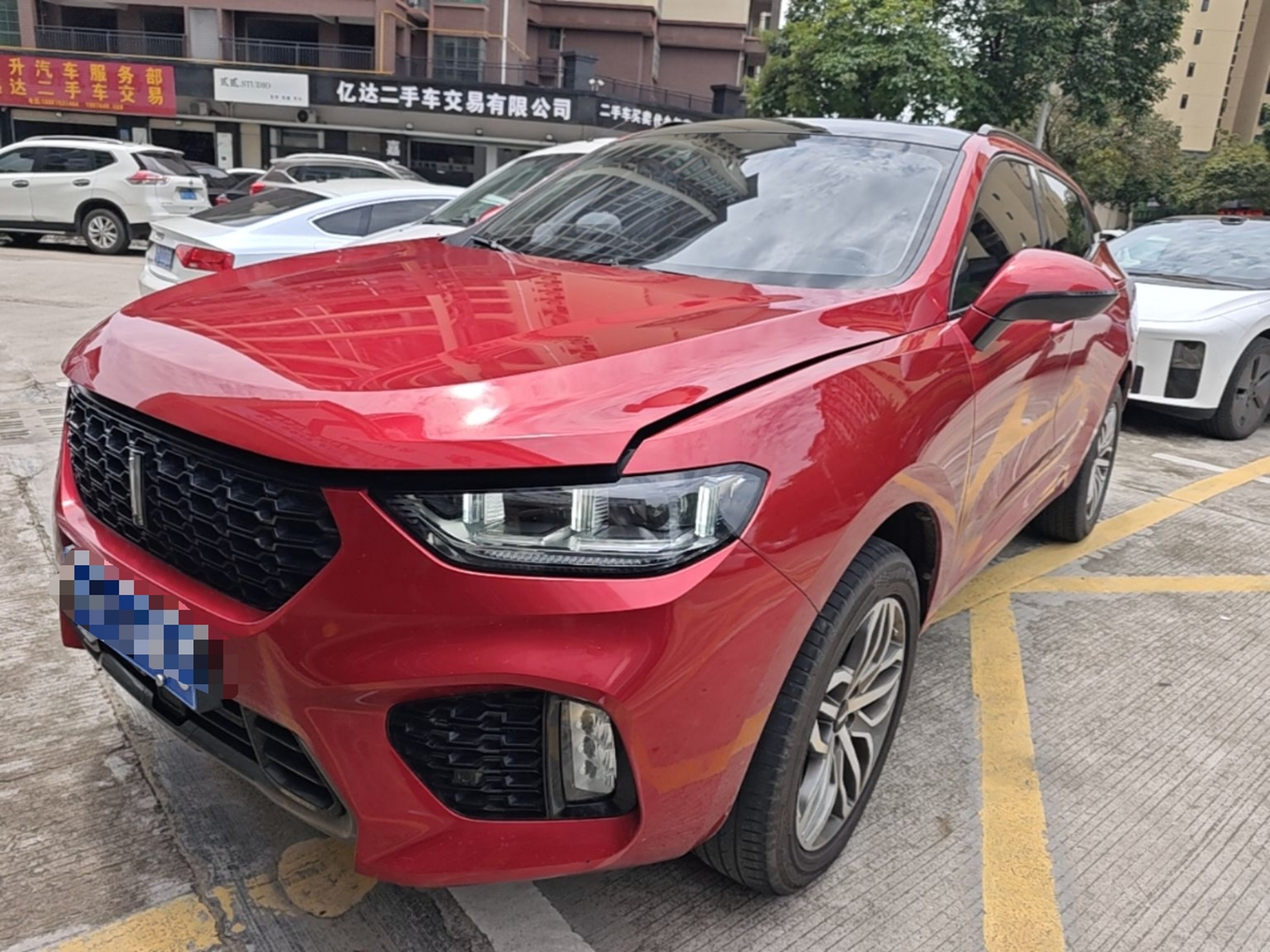Parte inferior delantera