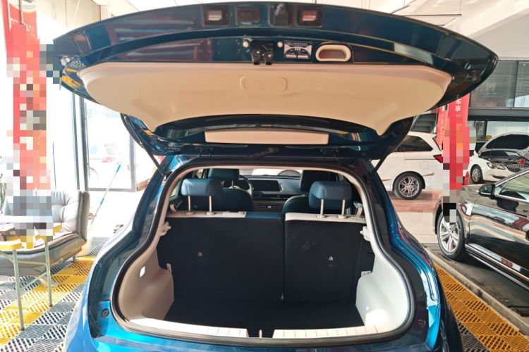 Used ORA Good Cat 2023 401 km Standard Range Luxury Version Lithium Iron Phosphate
