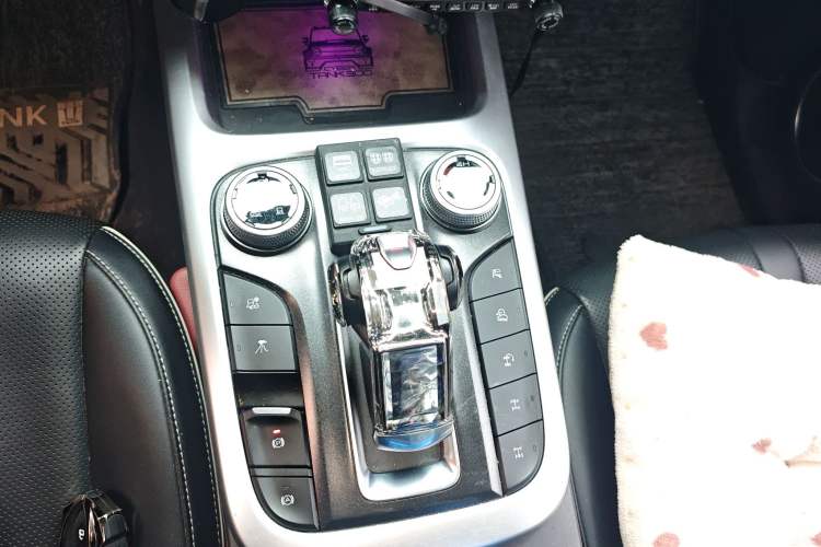 Used Tank 300 2021 2.0T Wind & Forest Iron Rider
