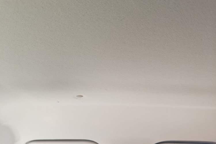 Used SOL E10X 2022 Flower Fairy Design Four-Leaf Clover