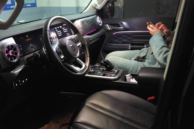 Used Tank 300 2024 2.0T Crosser Left Front Seat