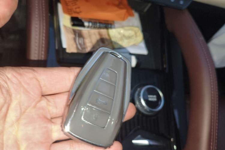 Used Geely Auto Monjaro L 2021 2.0TD DCT EVO Two-Wheel Drive Prestige Version
