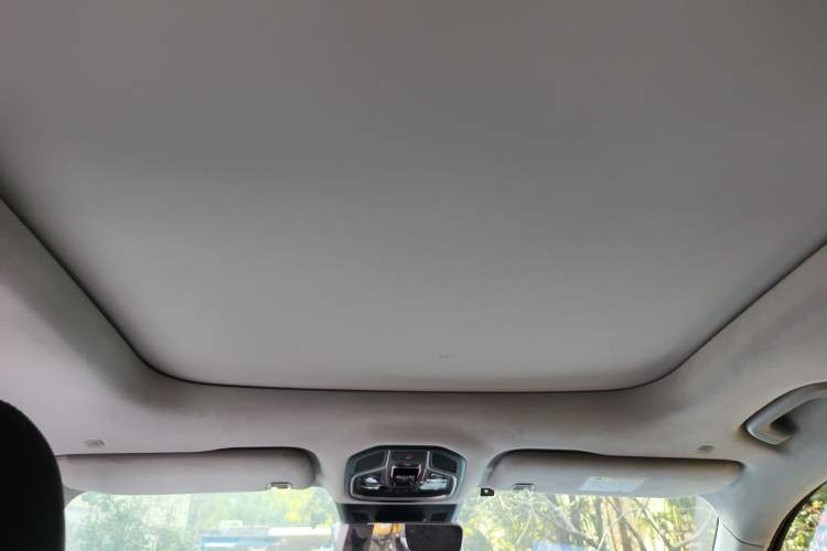 Used Geely Auto Monjaro L 2023 2.0TD High-Power Automatic Two-Wheel Drive Flagship Version Headliner