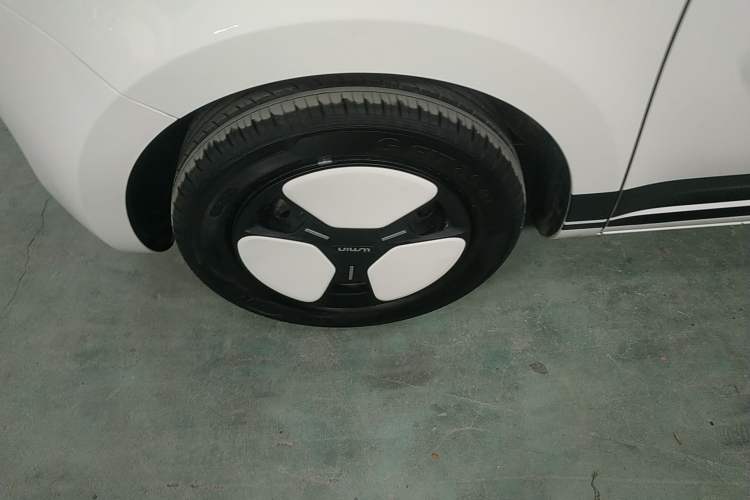 Used Qiyuan Lumin 2023 205km Xiangqin Version