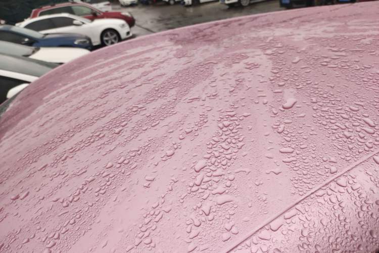 Used BYD Yuan PLUS 2022 510 km Luxury Version
