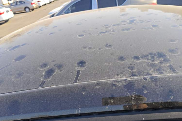 Used Wuling Xingguang 2025 70km Smart Standard Version