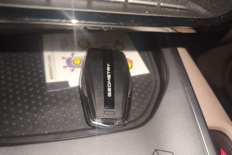 Used Geometry C 2022 550KM Grapefruit Plus
