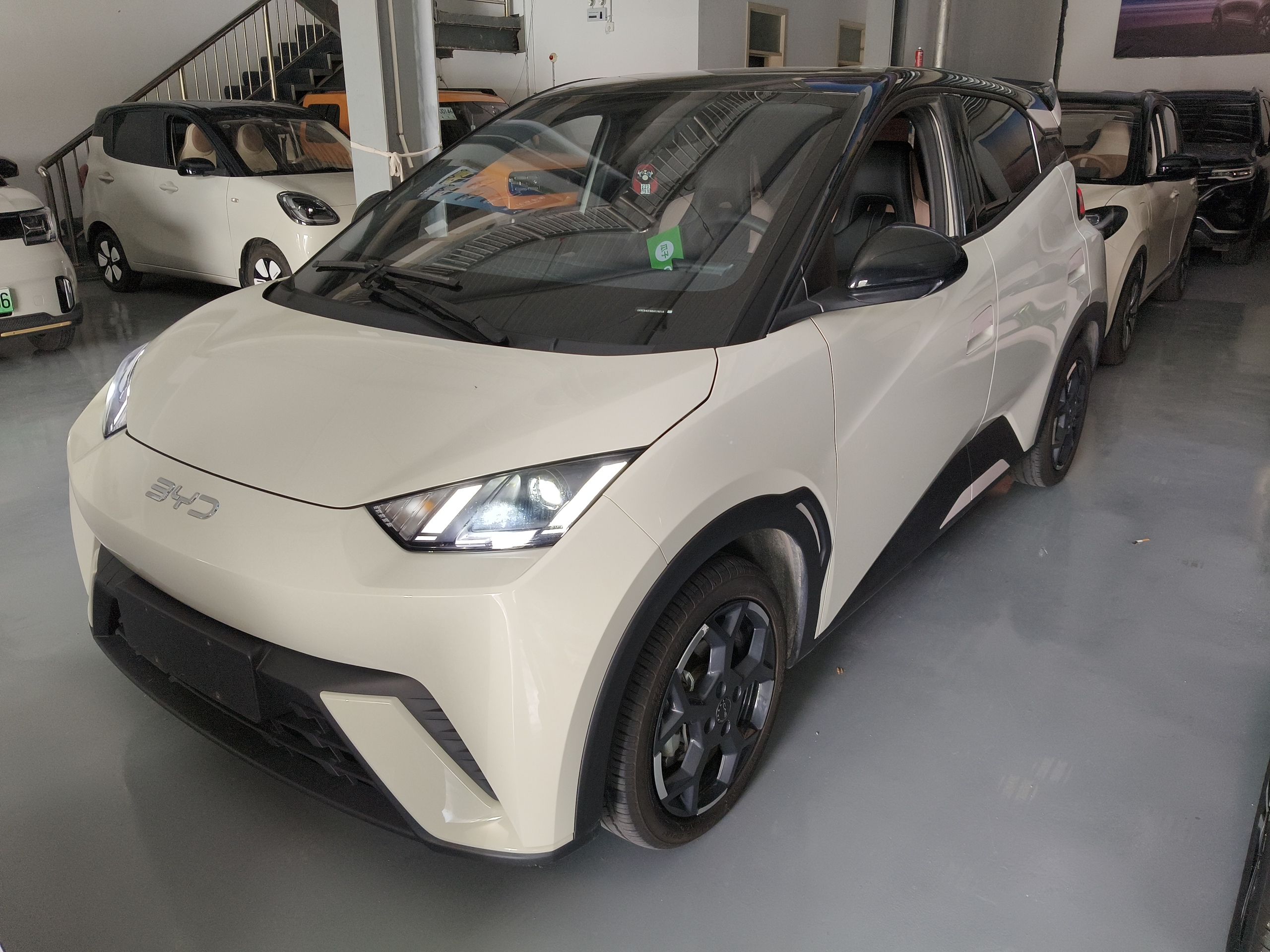 تحت مقدمة السيارة