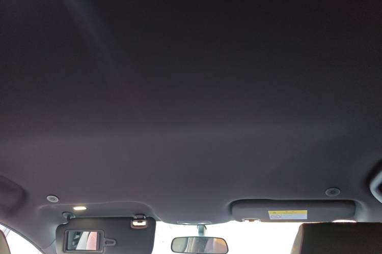 Used BYD Dolphin 2023 420 km Free Version Headliner