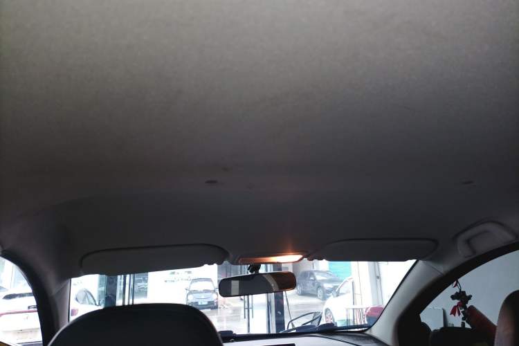 Used SOL E10X 2022 Flower Fairy Style Baby's Breath
