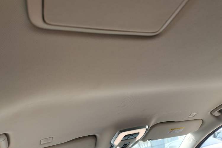 Used Hongqi HQ9 2023 2.0T Smart Connect Flagship Edition Headliner