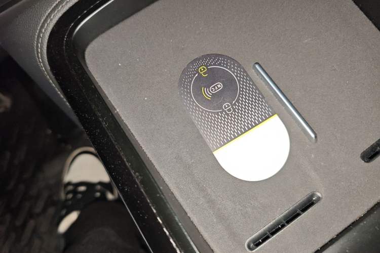 Used smart #5 2024 Jungle Realm Limited Edition