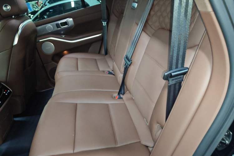 Used Tank 700 New Energy 2024 Hi4-T Extreme Edition Left Rear Seat