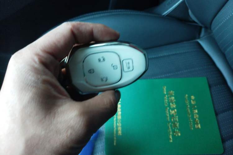 Used GAC Trumpchi E9 2023 E9 Master Model