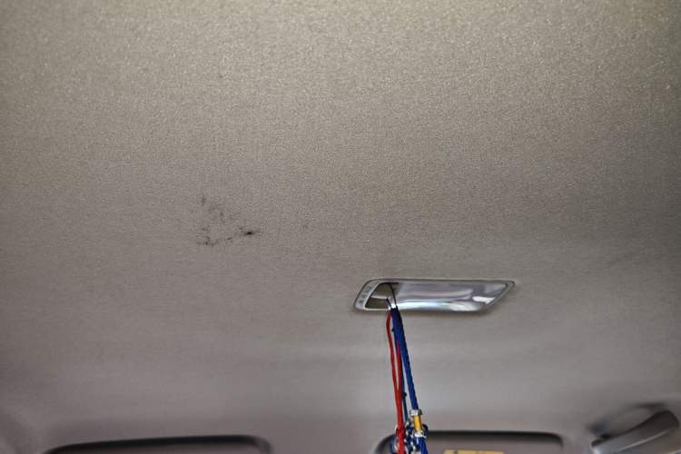 Used Lifan Auto 620 2010 Platinum Edition 1.5L Manual Premium Model Headliner