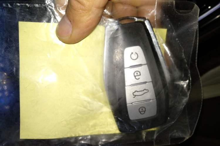 Used Geely Auto Monjaro L 2021 2.0TD DCT EVO Two-Wheel Drive Prestige Version
