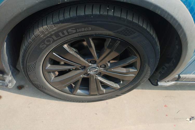 Used Haval LHERY 2021 High-Performance Version 1.5T Golden Rabbit