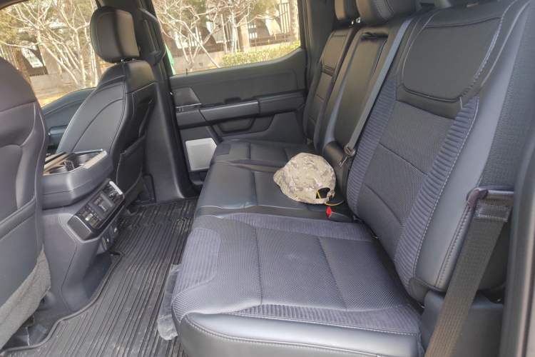 Used Ford F-150 Raptor 
