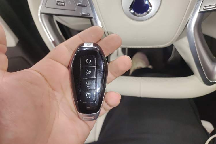 Used Denza N9 2025 Prestige Version