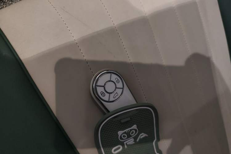 Used ORA Good Cat 2023 401 km Standard Range Luxury Version Lithium Iron Phosphate Interior 1