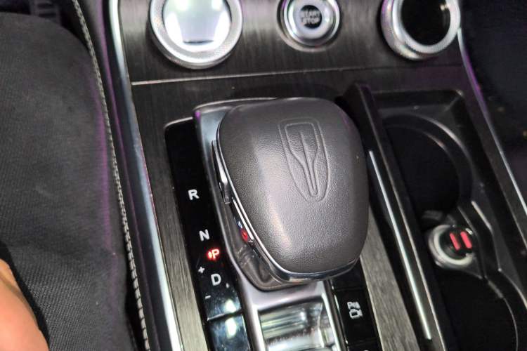 Used Hongqi H9 2022 2.0T Smart Connect Flagship Edition