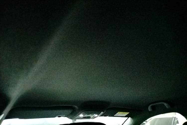 Used BYD Seagull 2023 Free Edition Headliner