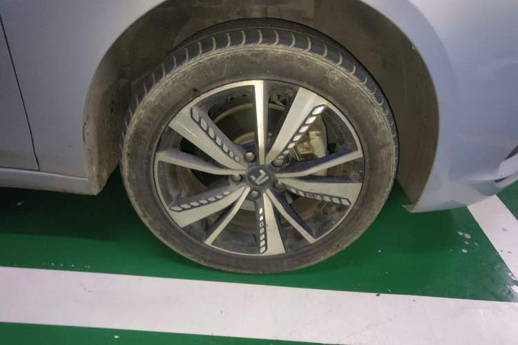 Used Rising ER6 2021 New Dynamic Edition 520km Smart Leading Version
