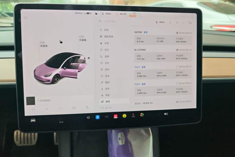 Used Tesla Model 3 2021 Performance High-Performance All-Wheel-Drive Version