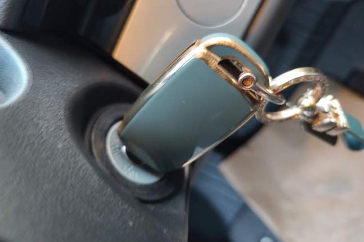 Used Qiyuan Lumin 2025 205 km Xiangqin Version