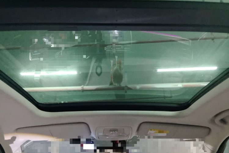 Used Roewe RX8 2018 30T Smart Connectivity Two-Wheel Drive Flagship Edition