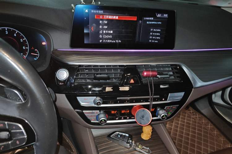 Used BMW 5 Series 2019 530Li Leading Model Luxury Package
