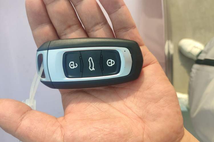 Used Geely Galaxy Panda 2024 Panda Mini 200km Endurance Bear Vehicle Key