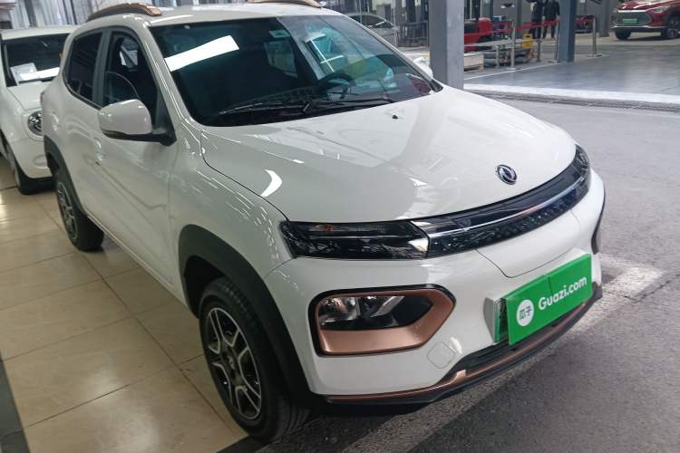 Used Dongfeng NAMMI EX1 2023 PRO Light Wind Edition Lightning Model