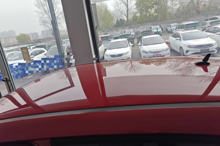 Used ORA Black Cat 2021 301 km Basic Version