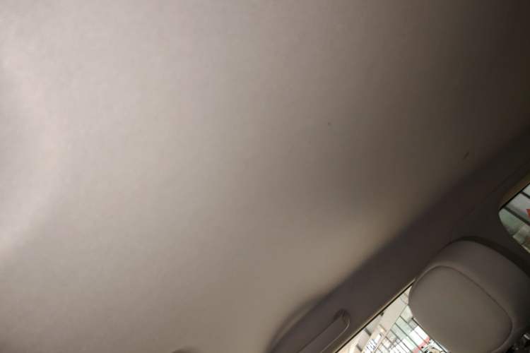 Used Qiyuan Lumin 2023 205km Xiangqin Version