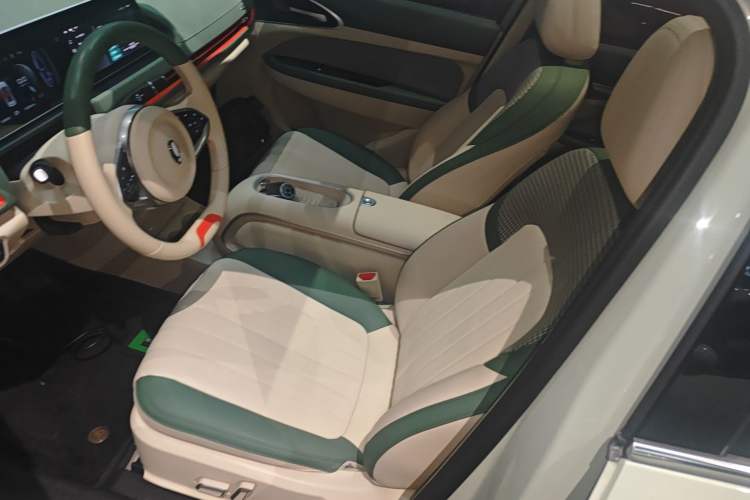 Used ORA Good Cat 2024 501 km Luxury Version Left Front Seat